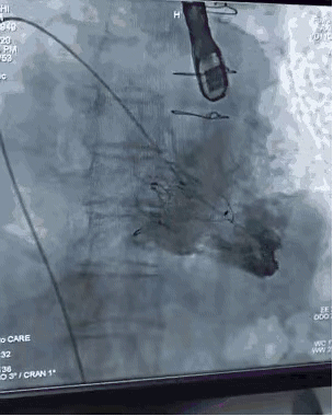 微信图片_20220701173736.gif